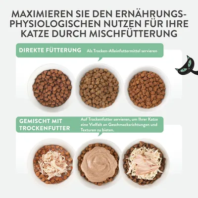 Anleitung zur Mischfütterung für Katzen: Direkte Fütterung mit Trockenfutter oder gemischt mit Nassfutter, um Vielfalt an Geschmacksrichtungen und Texturen zu bieten.