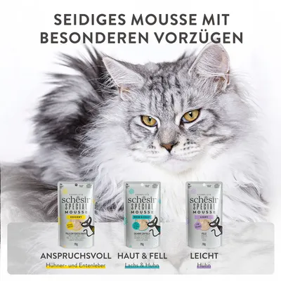 Schesir Special Mousse für Katzen: Anspruchsvoll mit Hühner- und Entenleber, Haut & Fell mit Lachs & Huhn, Leicht mit Huhn. Seidiges Mousse mit besonderen Vorzügen.
