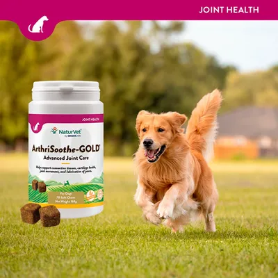 NaturVet ArthriSoothe-GOLD Advanced Joint Care за кучета. Подпомага съединителната тъкан, здравето на хрущяла, движението и смазването на ставите. 70 меки хапки, нето тегло 168g.