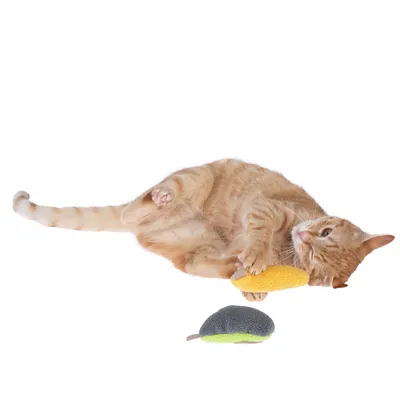 Rote Katze spielt mit gelbem und grauem Stoffspielzeug in Mäuseform.