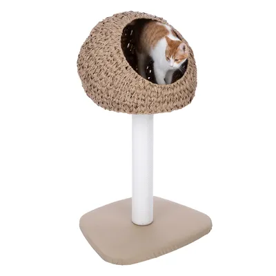 Arbre à chat avec base carrée beige, poteau recouvert de corde blanche et niche en osier tressé, un chat blanc et roux visible à l’intérieur de la niche.