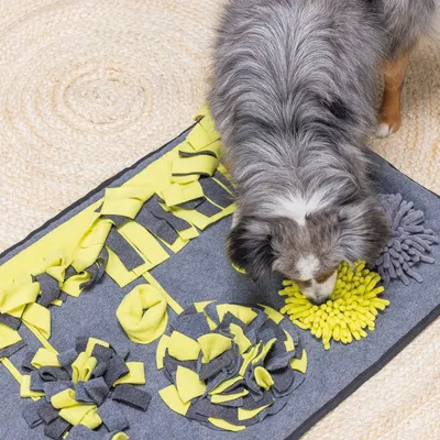Hund schnüffelt auf einer grauen und gelben Schnüffelmatte mit verschiedenen Stoffelementen zur Beschäftigung.