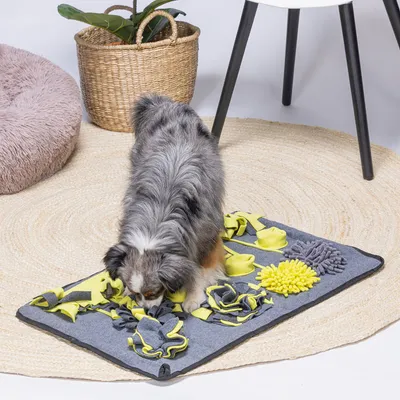Hund beschäftigt sich mit einer grauen Schnüffelmatte mit gelben und grauen Stoffelementen auf einem Teppich.