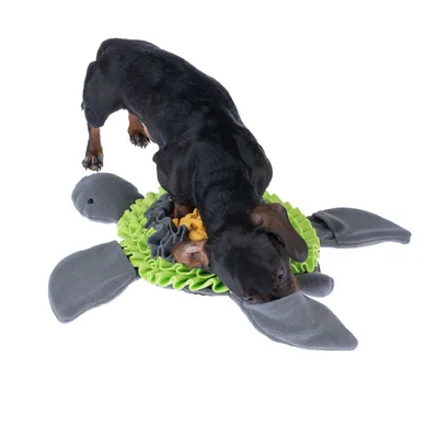Hund spielt mit einer grünen Schnüffelmatte in Form einer Schildkröte, aus Stoff gefertigt.