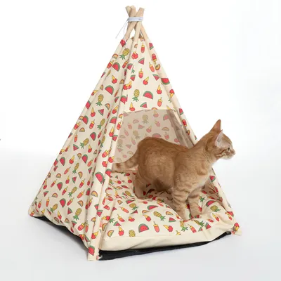 Tente tipi pour chat en tissu imprimé fruits, structure en bois, coussin assorti, chat roux à l’intérieur. Aucun nom de marque visible.