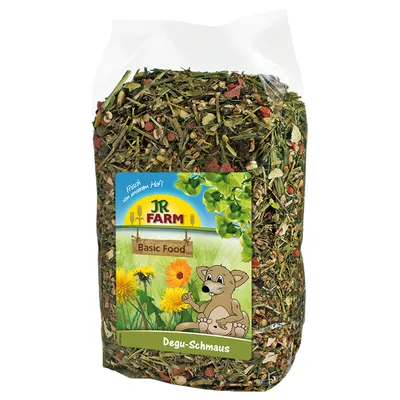 JR Farm Basic Food Degu-Schmaus, clear bag with dried plant mix, label shows cartoon degu and flowers. Visible text: 'Frisch von unserer Hof!', 'JR Farm', 'Basic Food', 'Degu-Schmaus'.