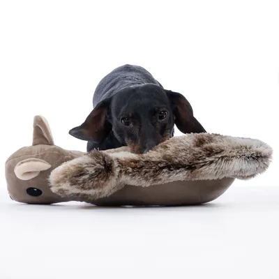 Hund spielt mit einem Plüschspielzeug in Tierform, braun mit Fellimitat und Ohren.