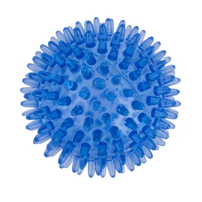 Blauer Noppenball aus Kunststoff mit spitzen Erhebungen, geeignet für Spiel- oder Massagezwecke.