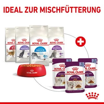 Royal Canin kattenvoer: Fit, Sterilised, Indoor, Sensible droogvoer en Sensory Smell, Taste, Feel natvoer. Duitse tekst: IDEAL ZUR MISCHFÜTTERUNG.