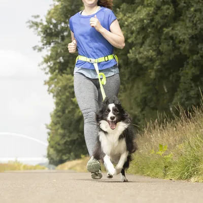 Kvinna joggar med hund som är fäst vid ett gult midjebälte. Demonstration av ett handsfree hundkoppel-system för sportaktiviteter.