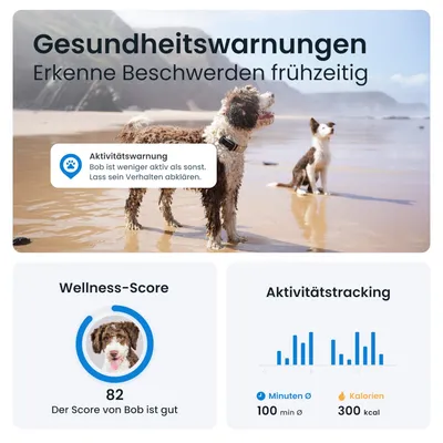 Gesundheitswarnungen: Erkenne Beschwerden frühzeitig. Aktivitätswarnung: Bob ist weniger aktiv als sonst. Wellness-Score: 82, gut. Aktivitätstracking: Ø 100 Minuten, 300 kcal.