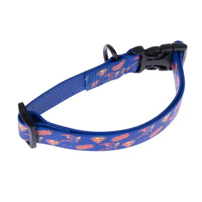 Collier bleu pour chien avec motifs Superman, boucle en plastique noir et anneau métallique visible.