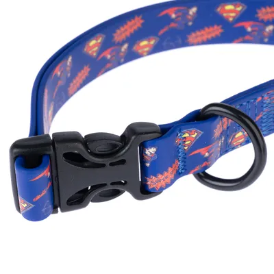 Collier bleu pour chien avec motifs Superman, boucle de fermeture en plastique noir et anneau métallique visible.