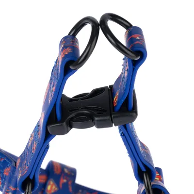 Zbliżenie na niebieską obrożę dla psa z motywem Superman, plastikowym zapięciem i dwoma metalowymi kółkami.
