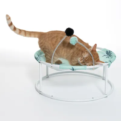 Katzenliege mit Metallrahmen, grünem Stoffbezug und Spielbogen mit zwei Pompons. Rote Katze liegt entspannt auf der Liege.