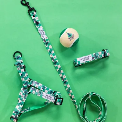 Harry Potter set za kućne ljubimce sa zelenim Slytherin uzorkom: orma, povodac, ogrlica i lopta.