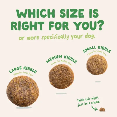 Edgard & Cooper Medium Adult Hond Lam graanvrij