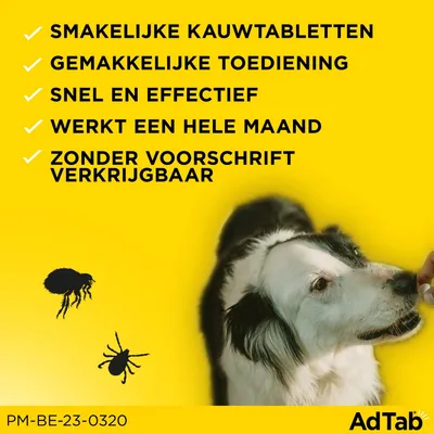 SMAKELIJKE KAUWTABLETTEN, GEMAKKELIJKE TOEDIENING, SNEL EN EFFECTIEF, WERKT EEN HELE MAAND, ZONDER VOORSCHRIFT VERKRIJGBAAR. AdTab. PM-BE-23-0320.