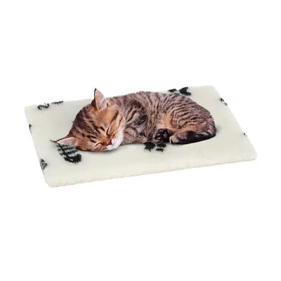 Sleeping cat on a cream-coloured blanket with black paw prints.