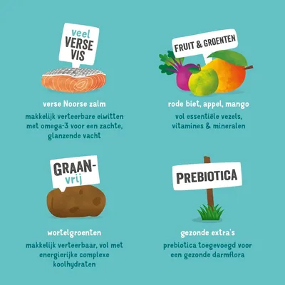 veel verse vis, verse Noorse zalm; fruit & groenten, rode biet, appel, mango; graanvrij, wortelgroenten; prebiotica, gezonde extra's. Tekst over voedingsstoffen en voordelen.