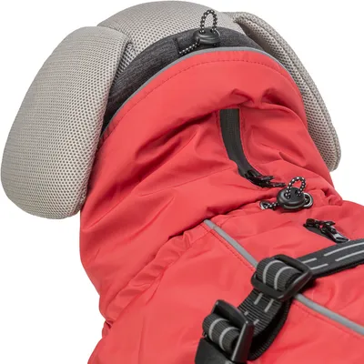 Roter Hundemantel mit verstellbaren Schnallen, Reissverschluss und reflektierenden Streifen. Sichtbare graue Polsterung an Kopfbereich.