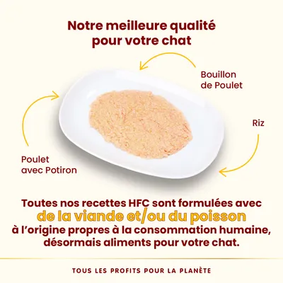 Lot Almo Nature HFC Mousse 24 x 70 g pour chat