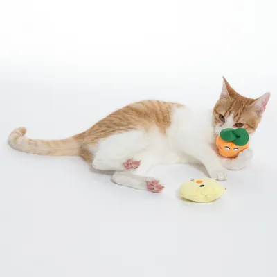 Gato blanco y rojo juega con dos juguetes de peluche, una calabaza naranja y una figura amarilla. Juguete para gatos.
