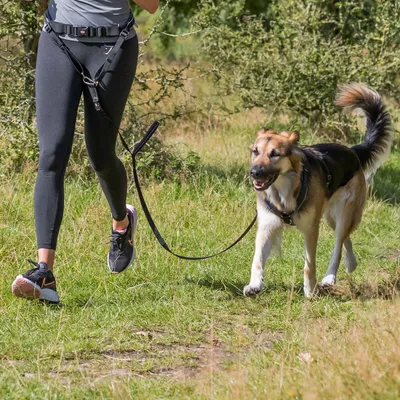 Jogger met hond, verbonden door een hardloopharnas en elastische lijn, geschikt voor sportieve activiteiten buitenshuis.