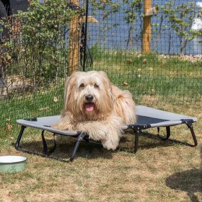 Erhöhtes Hundebett mit Metallrahmen und grauer Liegefläche, geeignet für den Aussenbereich. Grüner Futternapf mit Aufschrift 'Fresh & Delicious' daneben auf Gras.