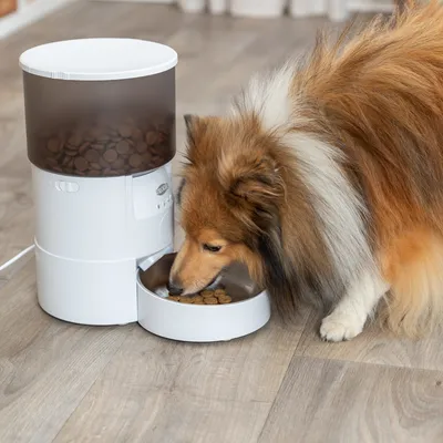 Automatische voerdispenser van Trixie met droogvoer, hond eet uit de voerschaal. Geschikt voor nauwkeurige portievoeding.