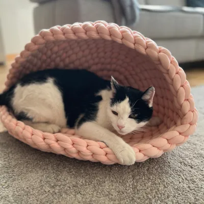 Chat noir et blanc allongé dans une niche en tissu tricoté rose, posée sur un tapis gris devant un canapé. La niche a une forme semi-ouverte et une texture épaisse.