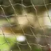 Cat Safety Net - Bite-Resistant & Wire-Reinforced