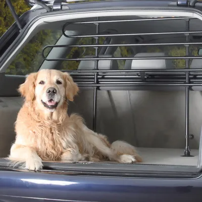 Car boot area with installed metal partition grille for safe transport of pets. Dog sitting in the boot behind the partition grille.