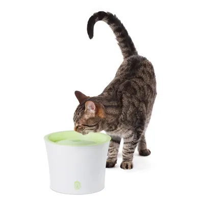 Gråbrun katt dricker ur vit och ljusgrön vattenfontän av plast. Liten husikon synlig på fontänens framsida.