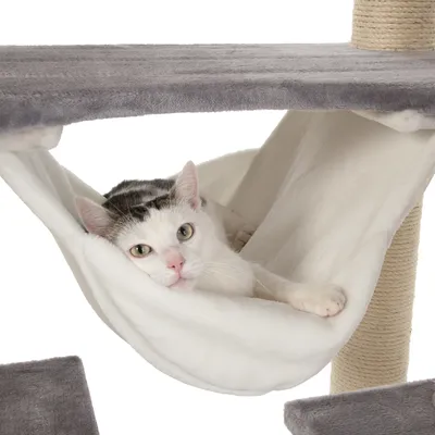 Chat blanc et gris allongé dans un hamac en tissu blanc fixé à un arbre à chat avec plateformes grises et poteau recouvert de sisal visible.