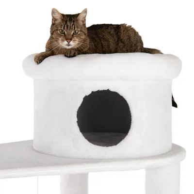 Smeđa tigrasta mačka leži na bijeloj plišanoj kućici za mačke s okruglim ulazom, dio penjalice vidljiv u donjem dijelu slike.