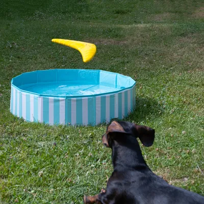 Nomad Tales Spirit Boomerang Water Toy