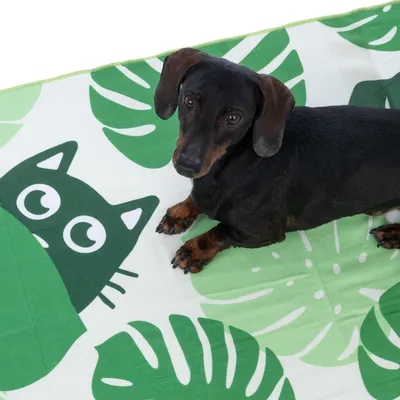 Cão deitado sobre manta verde com motivos de folhas e de gato. Manta com folhas tropicais e rosto de gato estilizado.
