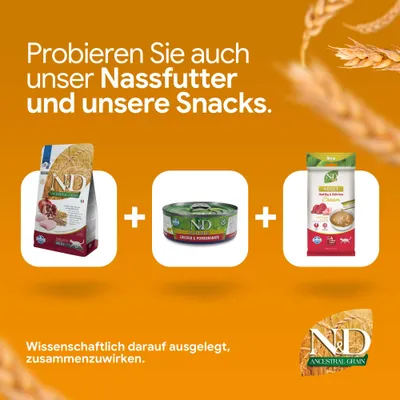 N&D Ancestral Grain Trockenfutter, N&D Prime Nassfutter Chicken & Pomegranate und N&D Adult Cream Snacks. Wissenschaftlich darauf ausgelegt, zusammenzuwirken. N&D Ancestral Grain Trockenfutter, N&D Prime Nassfutter Chicken & Pomegranate und N&D Adult Cream Snacks. Wissenschaftlich darauf ausgelegt, zusammenzuwirken.