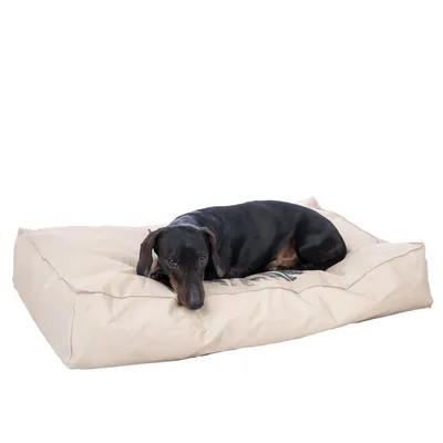 Cane sdraiato su un letto per cani beige di forma rettangolare.