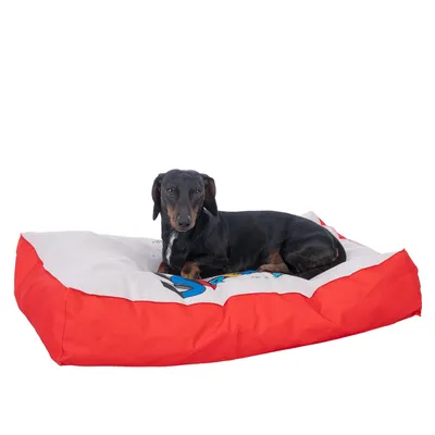 Chien noir allongé sur un grand coussin pour chien à bords rouges et dessus blanc avec motifs colorés visibles.