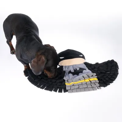 Cane che gioca con un gioco nero e grigio in tessuto a forma di pipistrello.