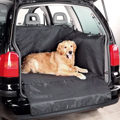 Skyddsfilt för bilens bagageutrymme med en liggande hund på. Svart material skyddar bagageutrymmets insida.