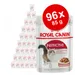 Lot de sachets fraîcheur pour chat Royal Canin 96 x 85 g