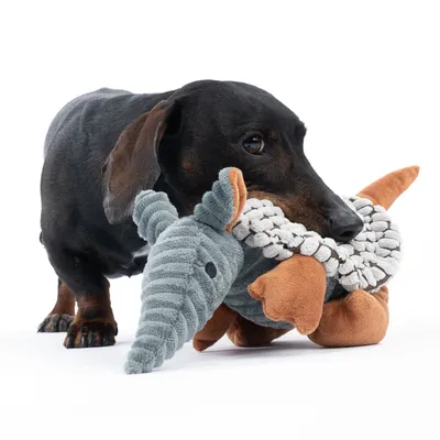 Hund leger med plysdyr i elefantform, grå og orange, med flettet reb. Produkt til underholdning af kæledyr.