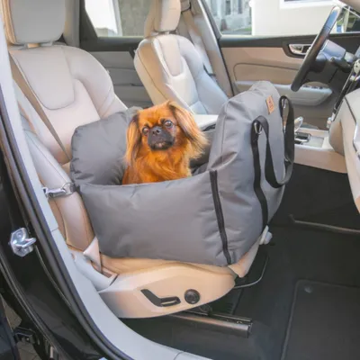 Dog sitting in a grey car seat shell with safety belts on the front passenger seat of a car. Product for safe transport of pets in vehicles.