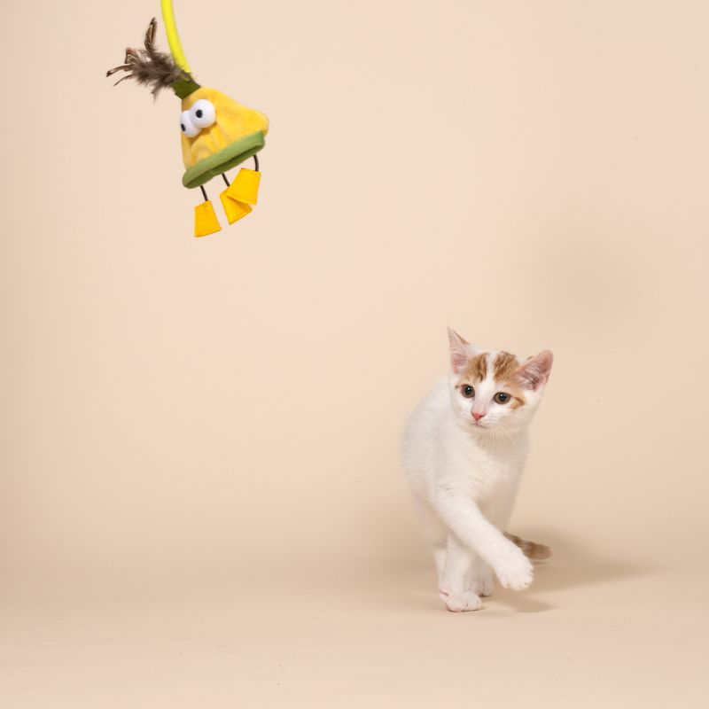TIAKI Spiral-Türhänger Monster für Katzen