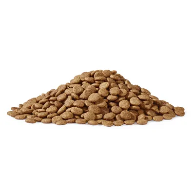 Croquettes marron en forme de disques, présentées en tas sur fond blanc. Aucun emballage ni marque visible.