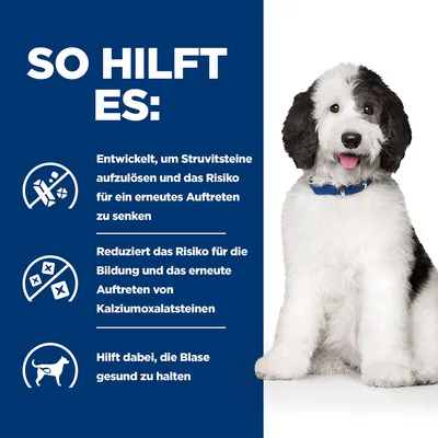 Hjälper till att lösa upp struvitstenar och minska risken för återfall. Minskar risken för kalciumoxalatstenar. Hjälper till att hålla urinblåsan frisk.