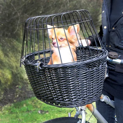 Panier en osier noir avec grille métallique, fixé à l’avant d’un vélo, contenant un petit chien à poils longs. Panier utilisé pour transporter des animaux sur un vélo.